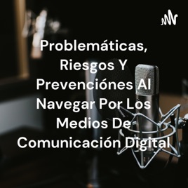 Problemáticas, Riesgos Y Prevenciónes Al Navegar Por Los Medios De Comunicación Digital