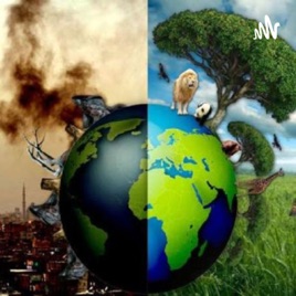 Problemas Del Medio Ambiente