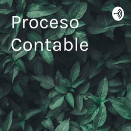 Proceso Contable