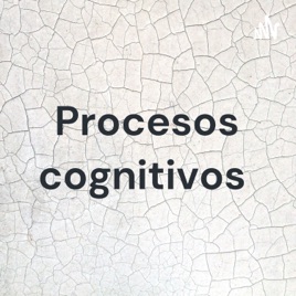 Procesos cognitivos