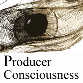 Producer Consciousness