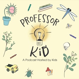 Professor Kid