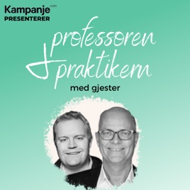 Professoren & praktikern