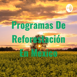 Programas De Reforestación En Mexico