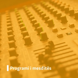Programi i mesditës
