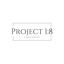 Project 1:8