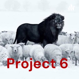 Project 6