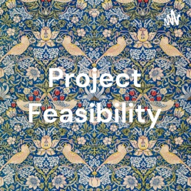 Project Feasibility