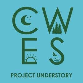 Project Understory