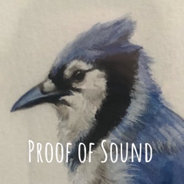 Proof of Sound