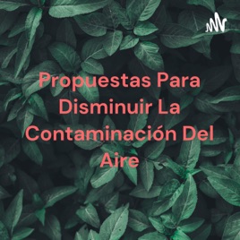 Propuestas Para Disminuir La Contaminación Del Aire