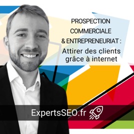 Prospection commerciale et entrepreneuriat : attirer des clients grâce à internet et au référencemen...