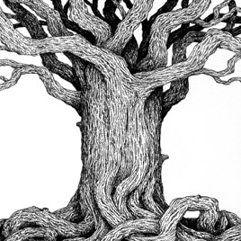 Protectors of the Wood Adventure Series