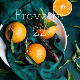 Proverbs 22