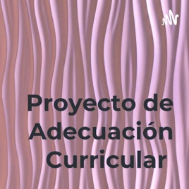 Proyecto de Adecuación Curricular