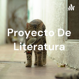 Proyecto De Literatura