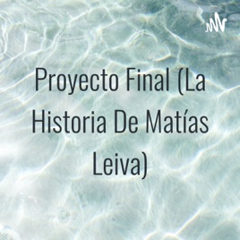 Proyecto Final (La Historia De Matías Leiva)