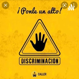 Proyecto Participativo