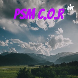 PSM C.O.R (Changing Our Reality) "We Don't Judge the Journey"