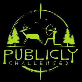 Publicly Challenged