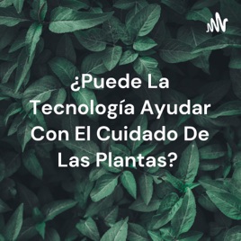 ¿Puede La Tecnología Ayudar Con El Cuidado De Las Plantas?