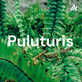Puluturis