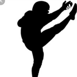 Punt The QB Sports Podcast