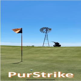 PurStrike