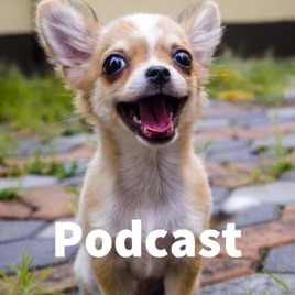 PZ吉娃Podcast