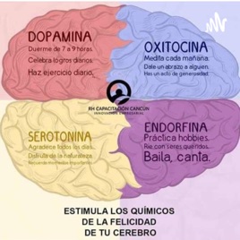 Químicos De La Felicidad