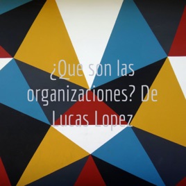 ¿Que son las organizaciones? De Lucas Lopez