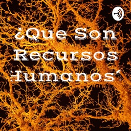 ¿Que Son Recursos Humanos?
