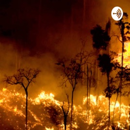 Queimadas na Amazônia