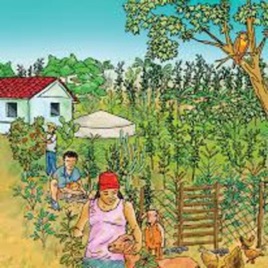 Quintal Agroecológico