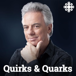 Quirks and Quarks