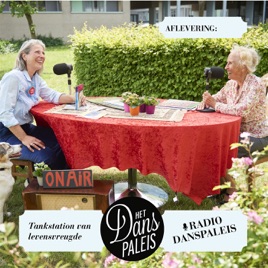 Radio Danspaleis
