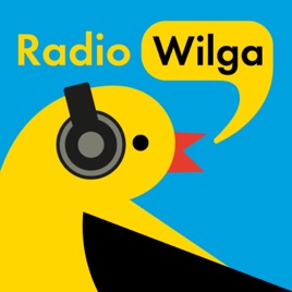 Radio Wilga