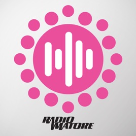 Radioamatore PN