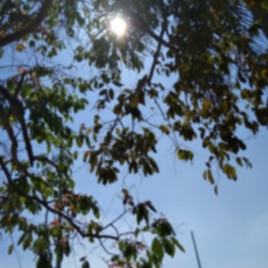 Raniranfitrian93