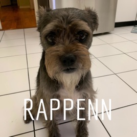 RAPPENN