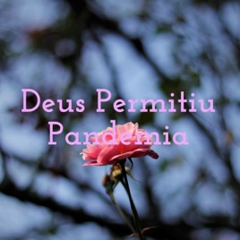 Deus Permitiu Pandemia