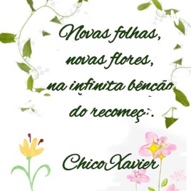Recomeços
