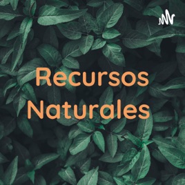 Recursos Naturales