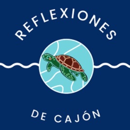 REFLEXIONES DE CAJÓN