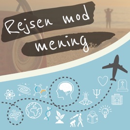 Rejsen mod mening