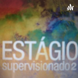 Relato de Experiência Estágio 2