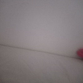 Relatos de uma ca