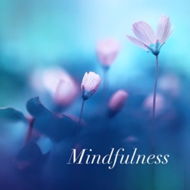 Renacer Meditando