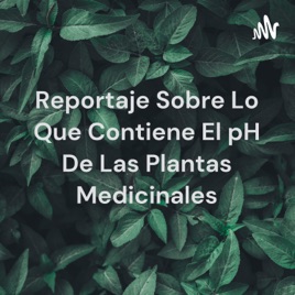 Reportaje Sobre Lo Que Contiene El pH De Las Plantas Medicinales