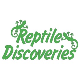 Reptiles Discoveries Plus More